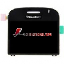 MÀN HÌNH BLACKBERRY 9000