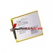 PIN VIVO B-C1